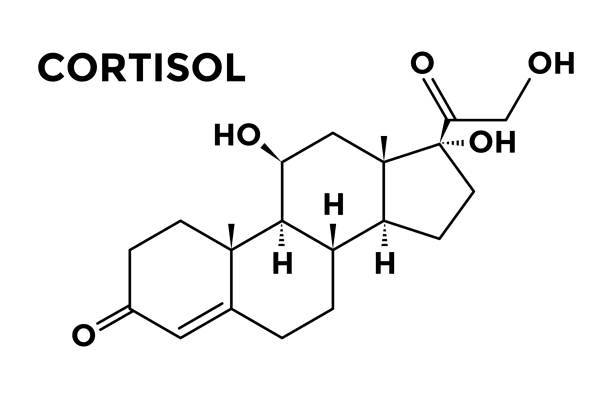 Cortisol